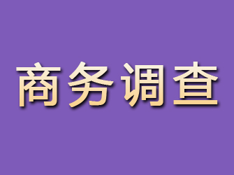 洛浦商务调查